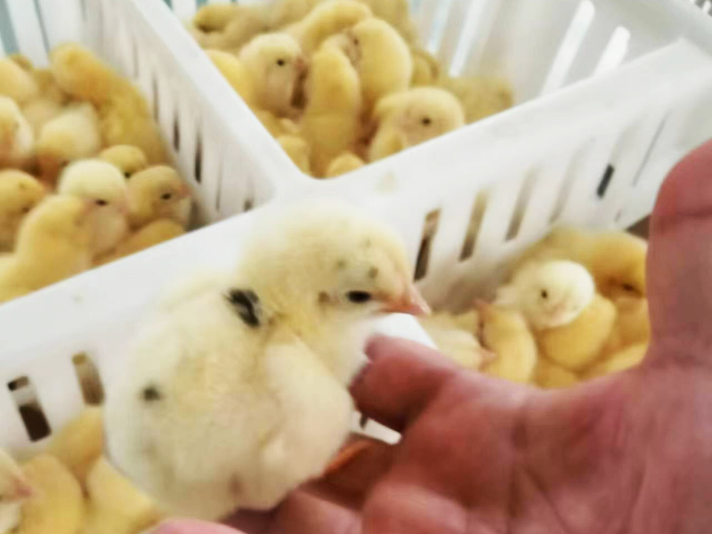 車間實拍